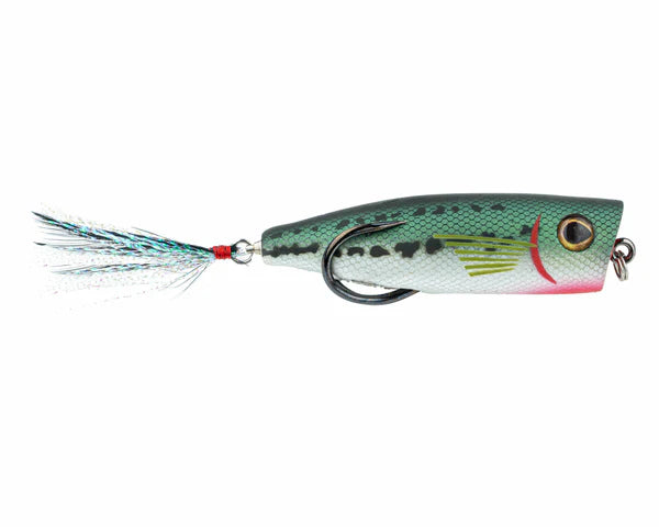 Snag Proof Zoo Pop Weedless Popper