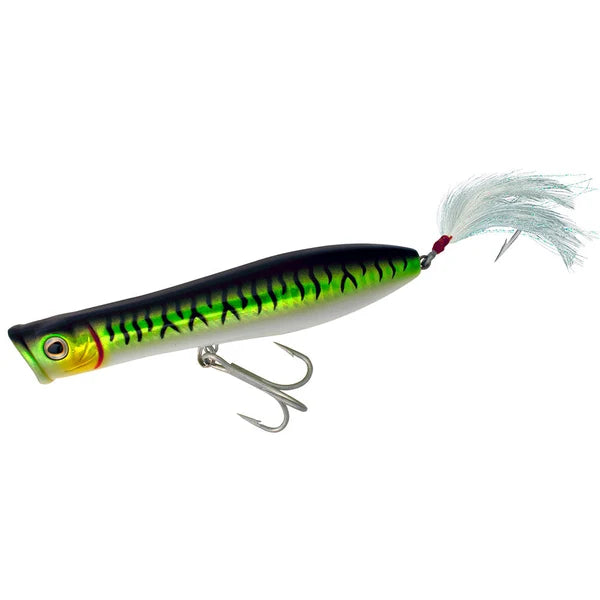Tsunami Popper XD-6'