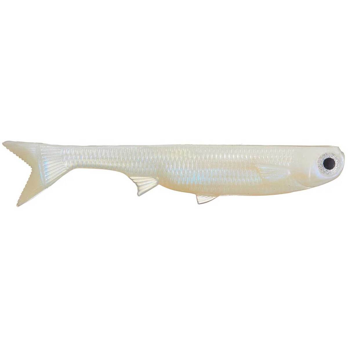 NLBN -  No Live Bait Needed