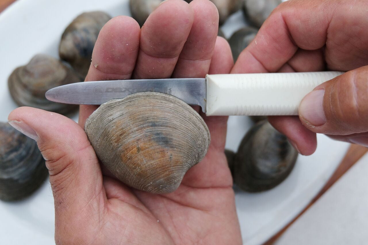 Dexter Clam Knife