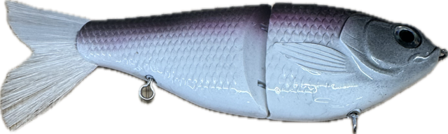 Gliders Painted