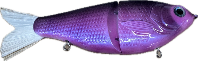 Gliders Painted