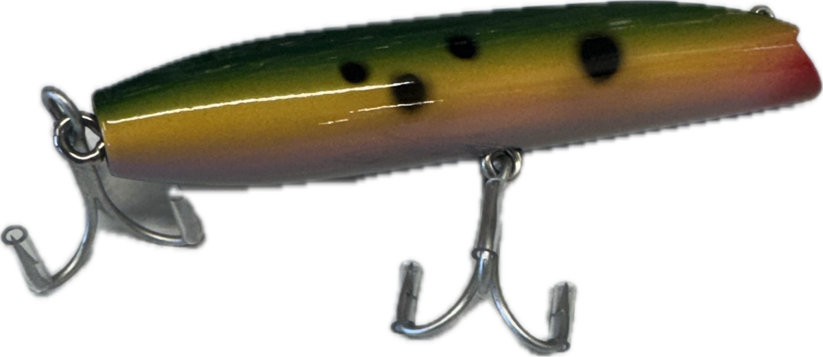 Gibbs Darter
