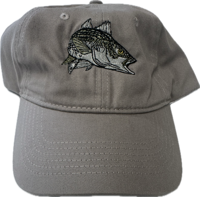 Hats- Ball Caps online