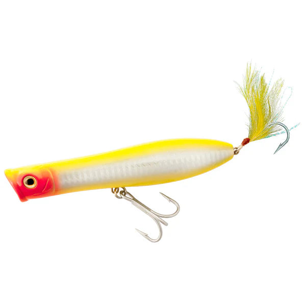 Tsunami Popper XD-6'