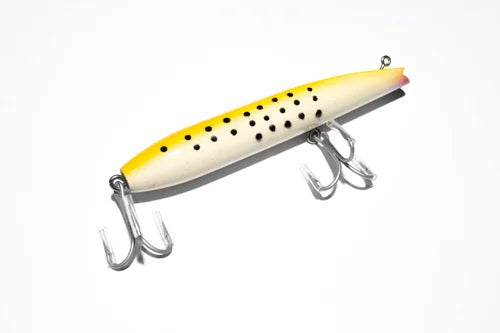 Gibbs Darter
