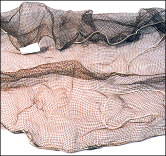 Minnow Seine Nets